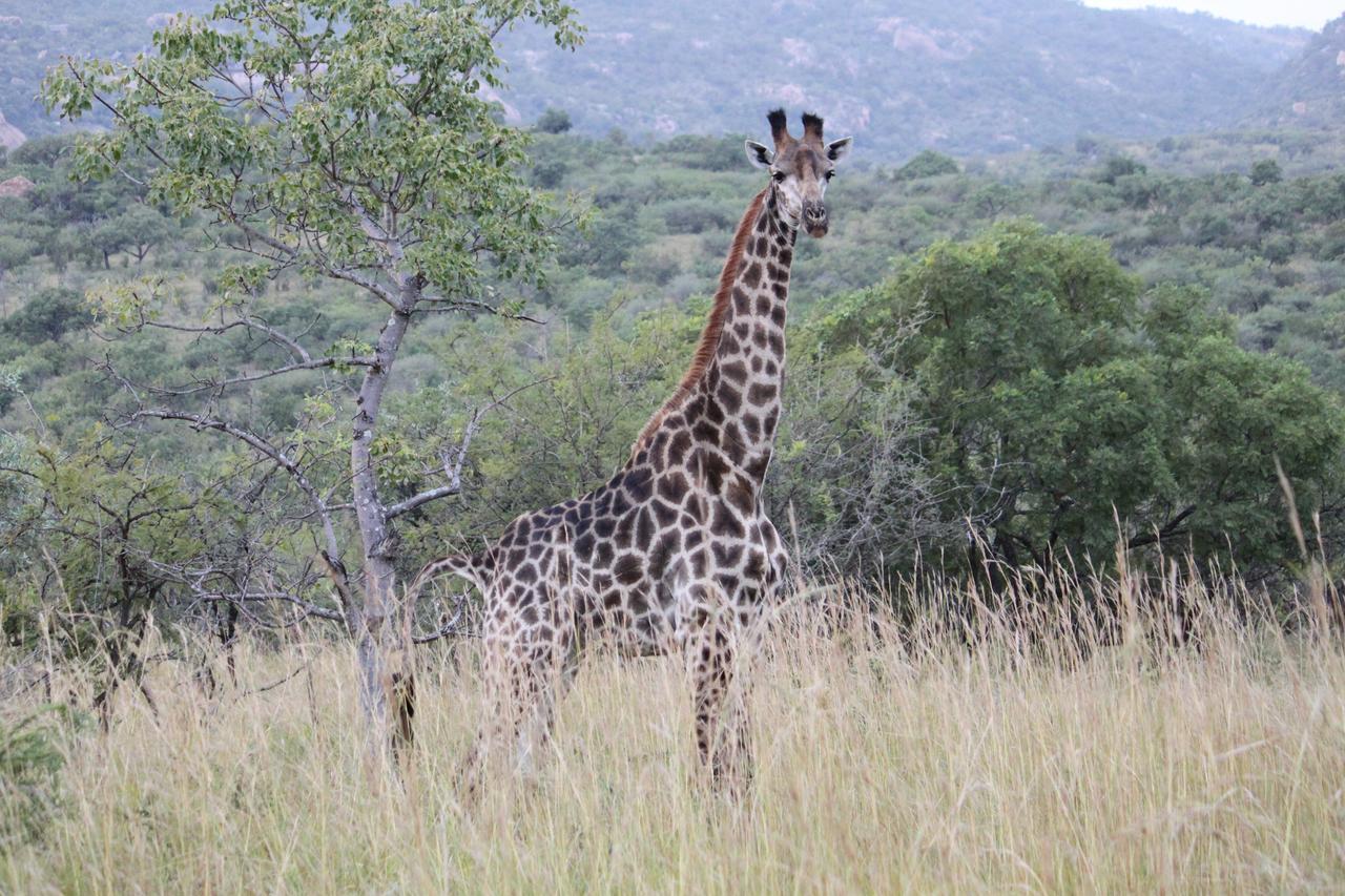 Aha Bongani Mountain Lodge Luphisi Экстерьер фото