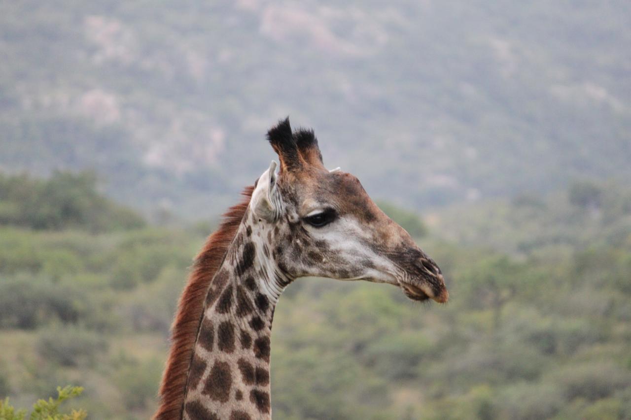 Aha Bongani Mountain Lodge Luphisi Экстерьер фото